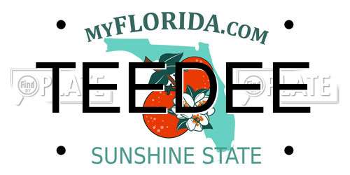 TEEDEE Florida License Plate