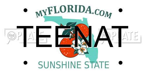 TEENAT Florida License Plate