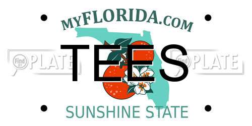 TEES Florida License Plate