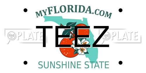 TEEZ Florida License Plate