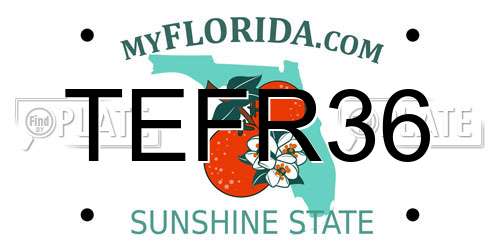TEFR36 Florida License Plate