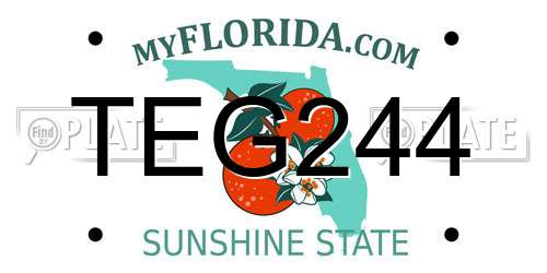 TEG244 Florida License Plate