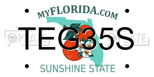 TEG35S Florida License Plate