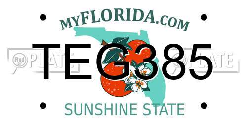 TEG385 Florida License Plate
