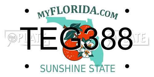 TEG388 Florida License Plate