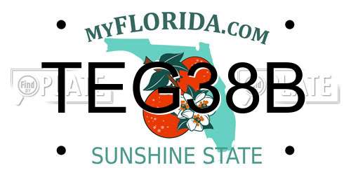 TEG38B Florida License Plate