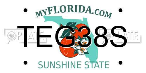 TEG38S Florida License Plate