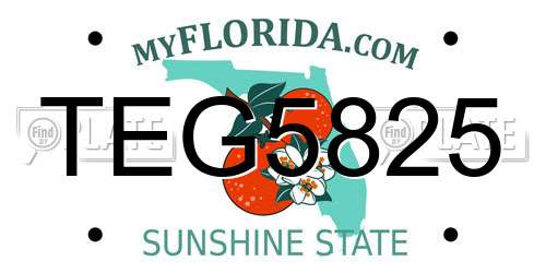 TEG5825 Florida License Plate
