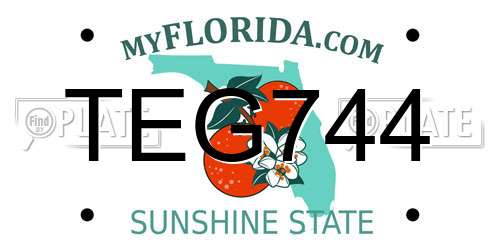 TEG744 Florida License Plate