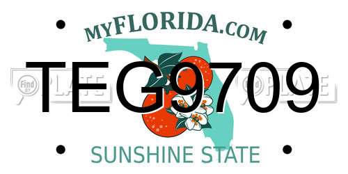 TEG9709 Florida License Plate
