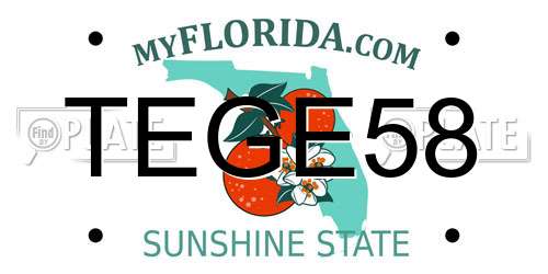 TEGE58 Florida License Plate