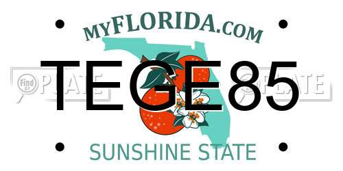 TEGE85 Florida License Plate