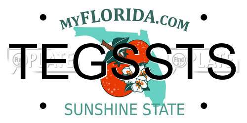 TEGSSTS Florida License Plate