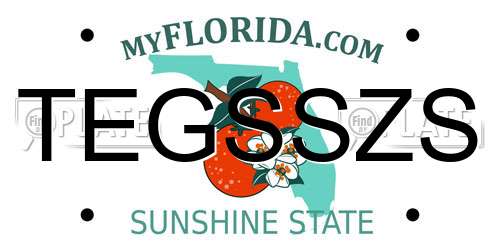 TEGSSZS Florida License Plate