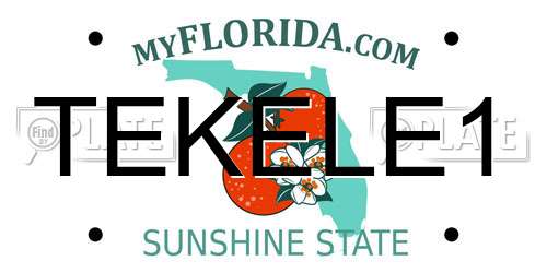 TEKELE1 Florida License Plate
