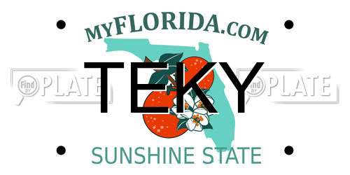 TEKY Florida License Plate