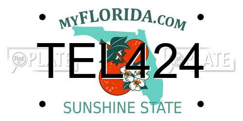 TEL424 Florida License Plate