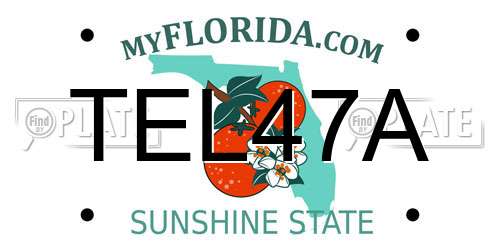 TEL47A Florida License Plate