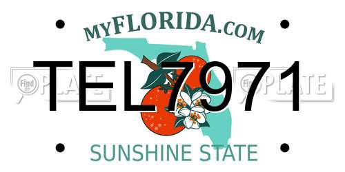 TEL7971 Florida License Plate