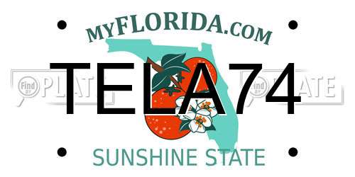 TELA74 Florida License Plate