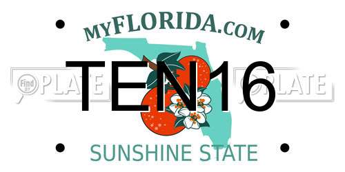 TEN16 Florida License Plate