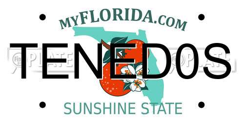 TENED0S Florida License Plate