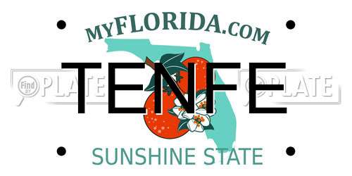 TENFE Florida License Plate