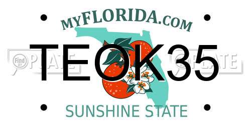 TEOK35 Florida License Plate