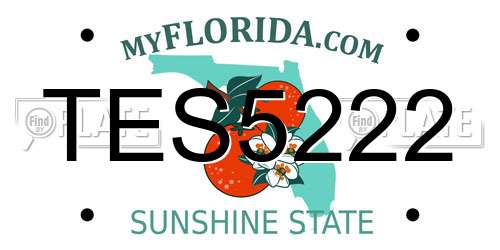TES5222 Florida License Plate