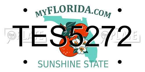 TES5272 Florida License Plate
