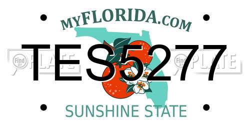 TES5277 Florida License Plate