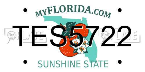 TES5722 Florida License Plate