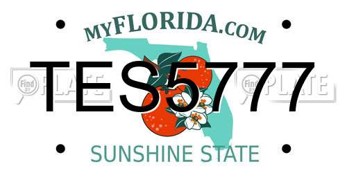 TES5777 Florida License Plate