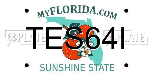 TES64I Florida License Plate
