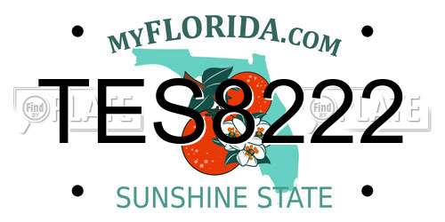 TES8222 Florida License Plate