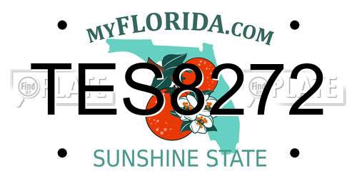 TES8272 Florida License Plate