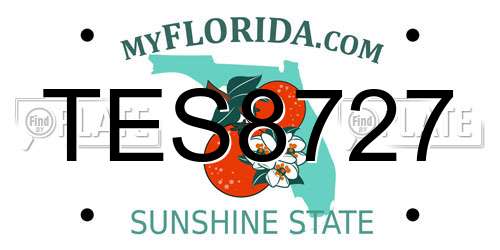 TES8727 Florida License Plate