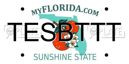 TESBTTT Florida License Plate