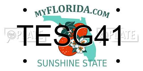 TESG41 Florida License Plate