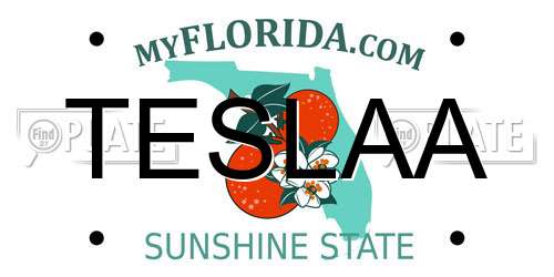 TESLAA Florida License Plate