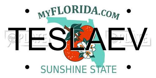 TESLAEV Florida License Plate