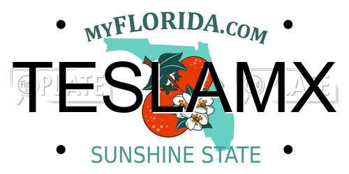 TESLAMX Florida License Plate