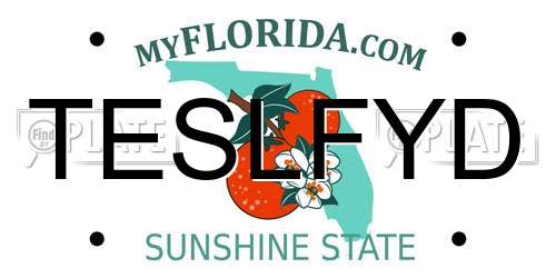 TESLFYD Florida License Plate