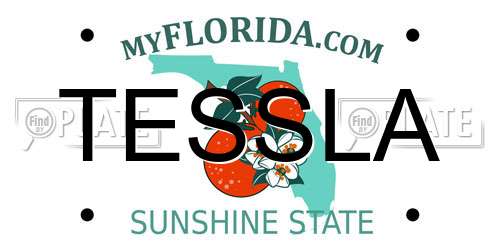 TESSLA Florida License Plate