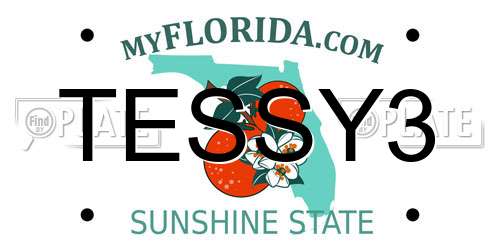 TESSY3 Florida License Plate