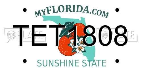TET1808 Florida License Plate