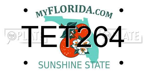 TET264 Florida License Plate