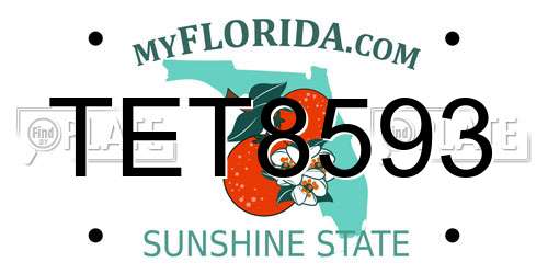 TET8593 Florida License Plate