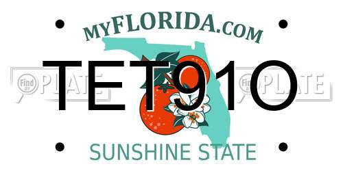 TET91O Florida License Plate