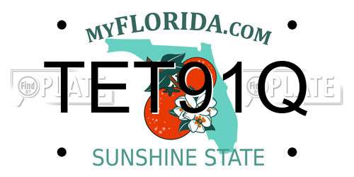 TET91Q Florida License Plate